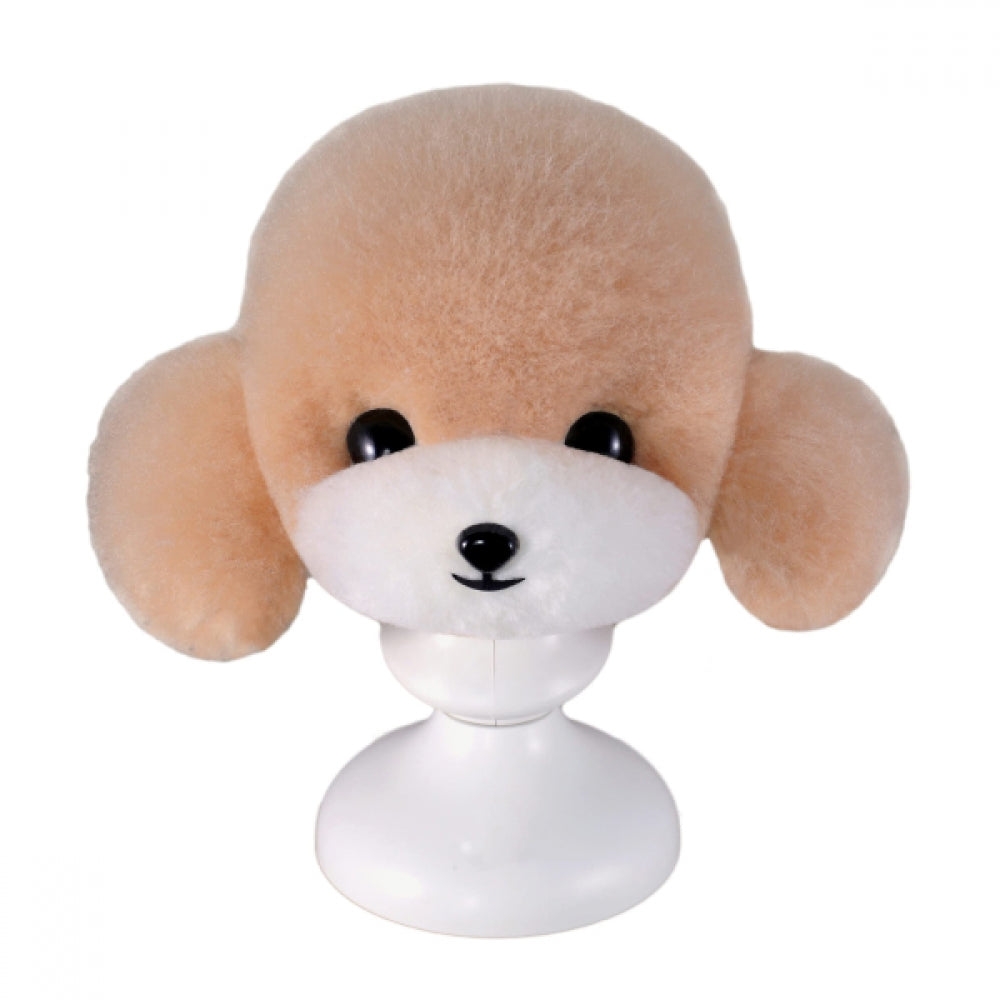 Teddy bear fur, champagne with white muzzle – ears down