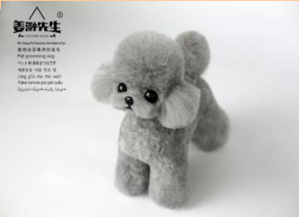 Teacup teddy full-body fur, grey