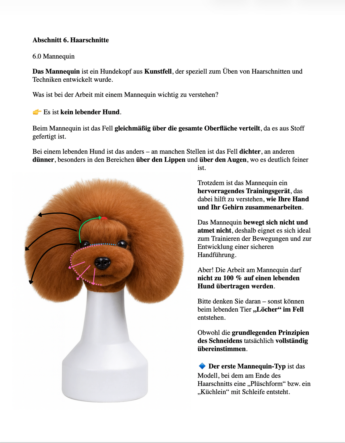 Professional Grooming Handbook – in German