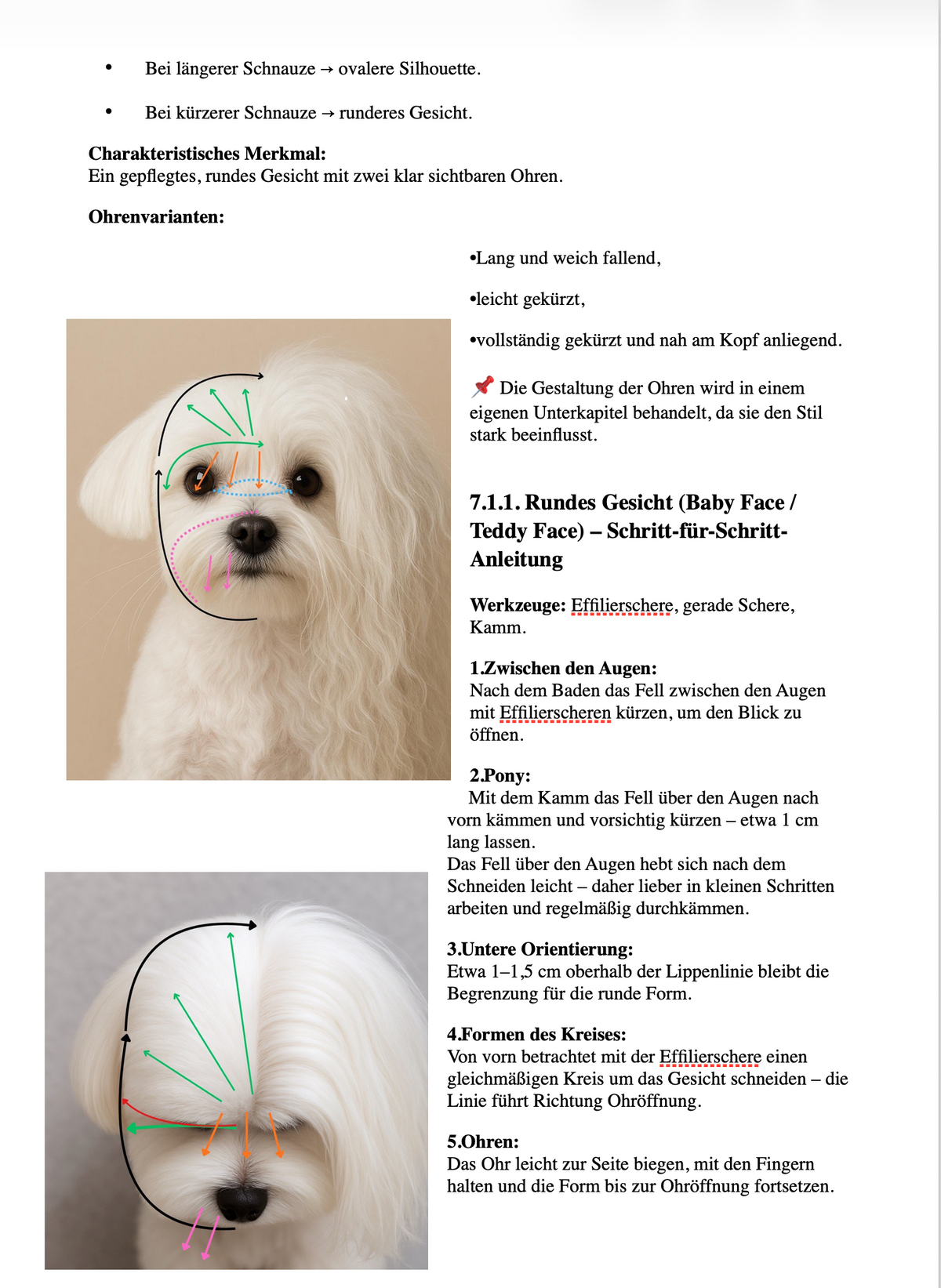 Professional Grooming Handbook – in German