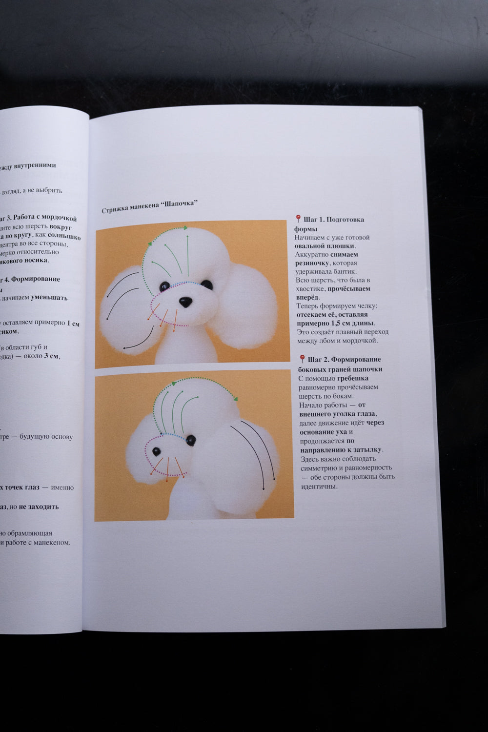 Professional Grooming Handbook – in russischer Sprache