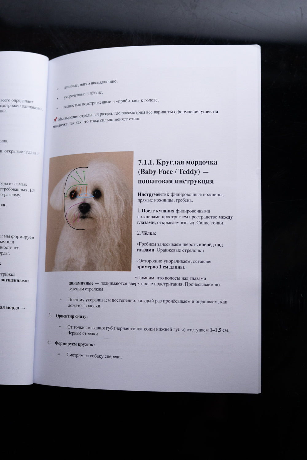 Professional Grooming Handbook – in russischer Sprache