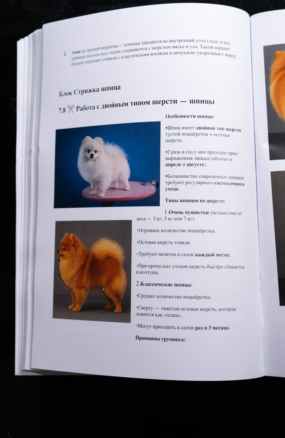 Professional Grooming Handbook – in russischer Sprache