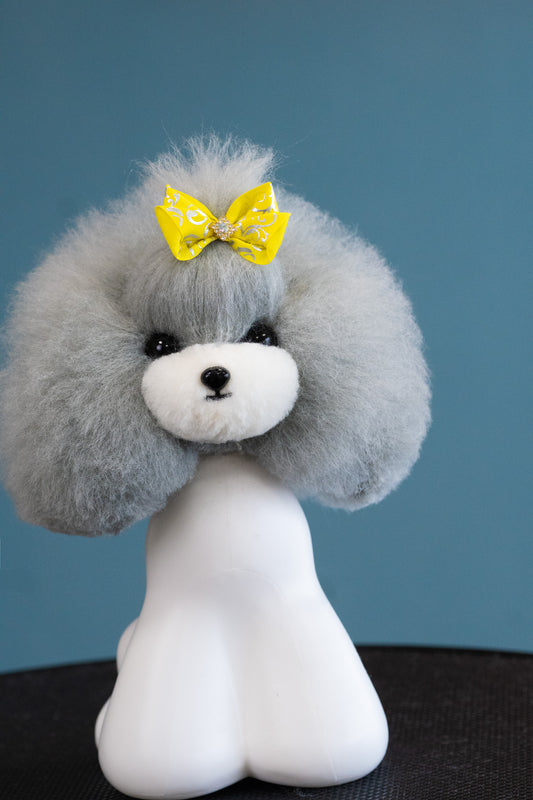 Teddy head fur, grey with white muzzle – ears drooping