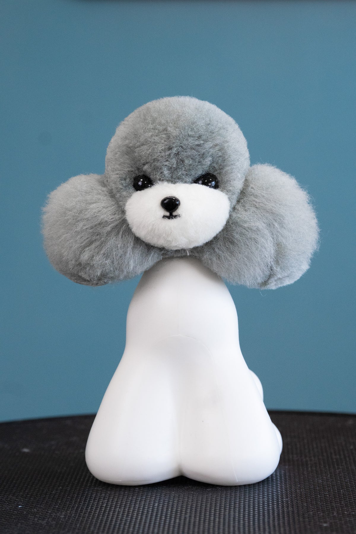 Teddy head fur, grey with white muzzle – ears drooping