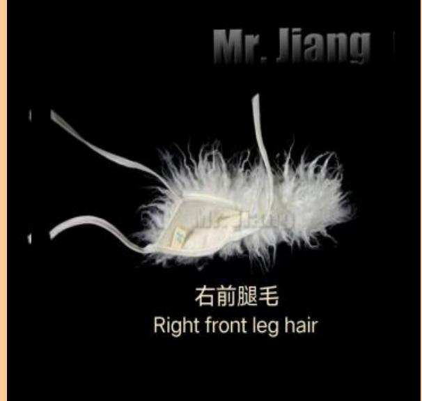 Fur for the right front leg