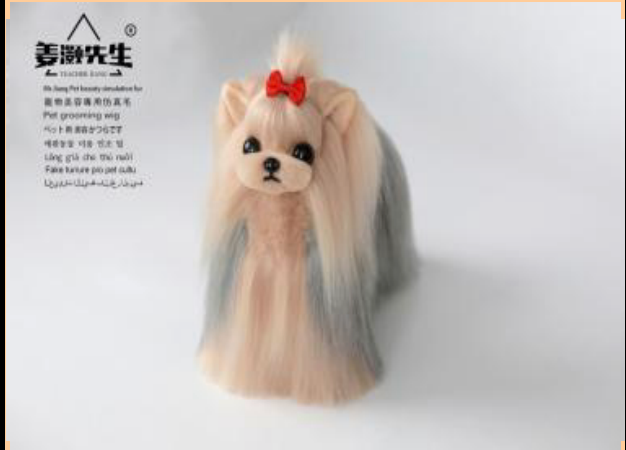 Yorkshire-Terrier Ganzkörperfell, Goldener Kopf und silberfarbener Rücken (Yorkshire full body hair (Gold head and silver back)