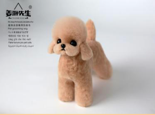 Teacup-Teddy Ganzkörperfell, Champagner (Teacup teddy full body hair (Champagne)