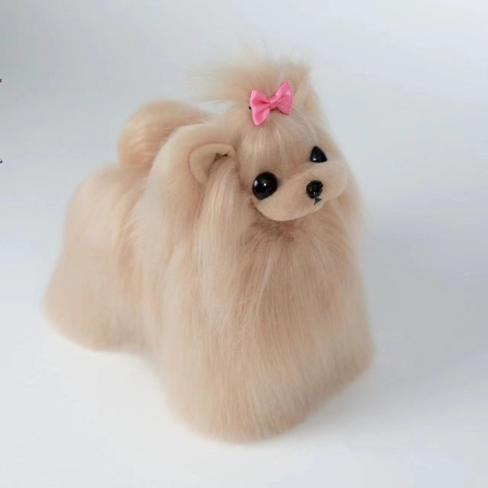 Yorkshire-Terrier Ganzkörperfell, Champagner (Yorkshire full body hair (Champagne)