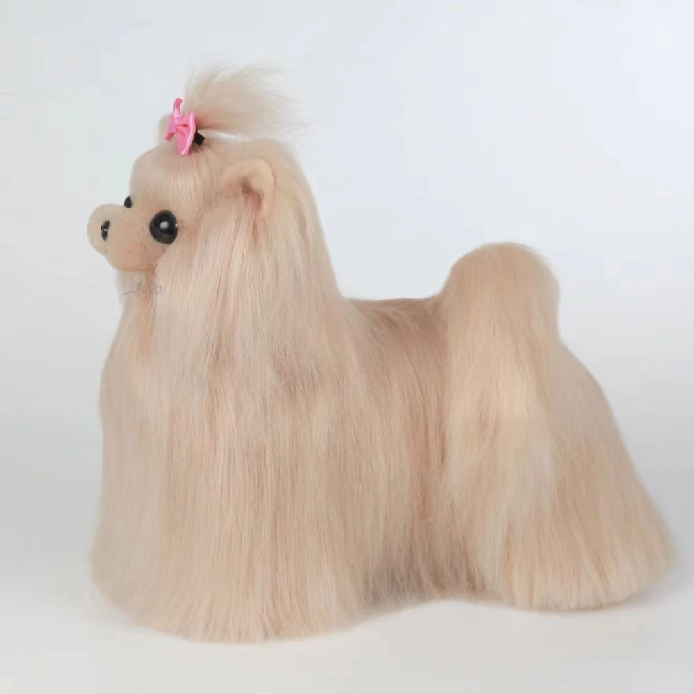 Yorkshire-Terrier Ganzkörperfell, Champagner (Yorkshire full body hair (Champagne)